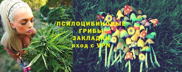трава Абаза
