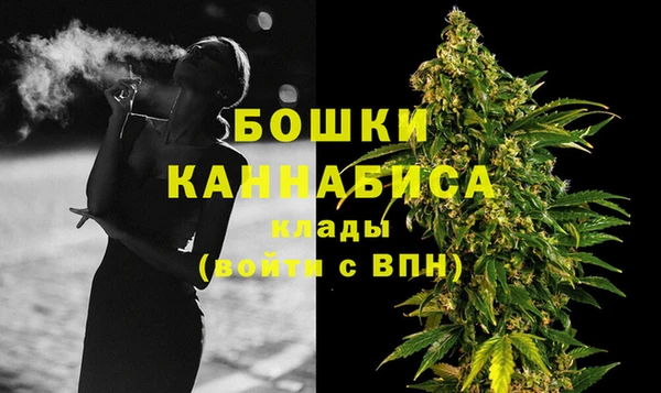 сатива Нягань