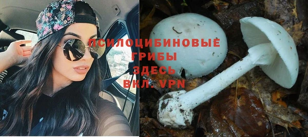 амфетамин Няндома