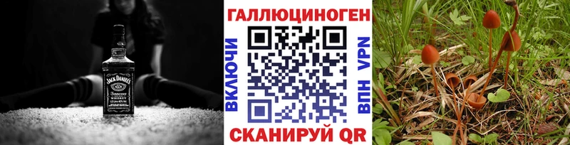 сколько стоит  Черногорск  это наркотические препараты  Галлюциногенные грибы Magic Shrooms 