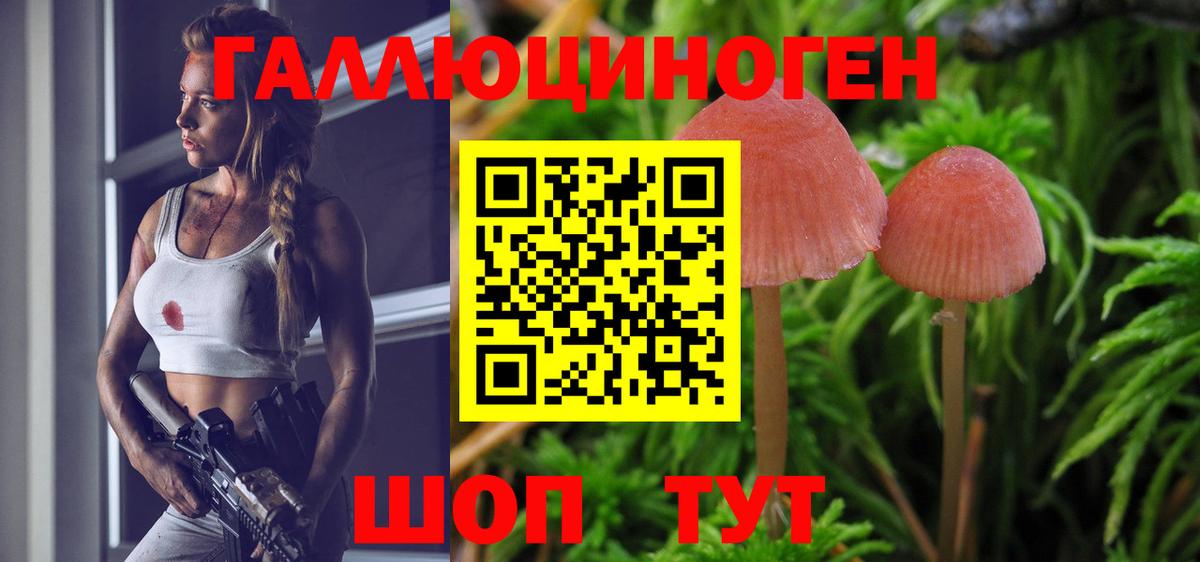 Черногорск  Псилоцибиновые грибы Magic Shrooms  Псилоцибиновые грибы прущие грибы  Вход с VPN 