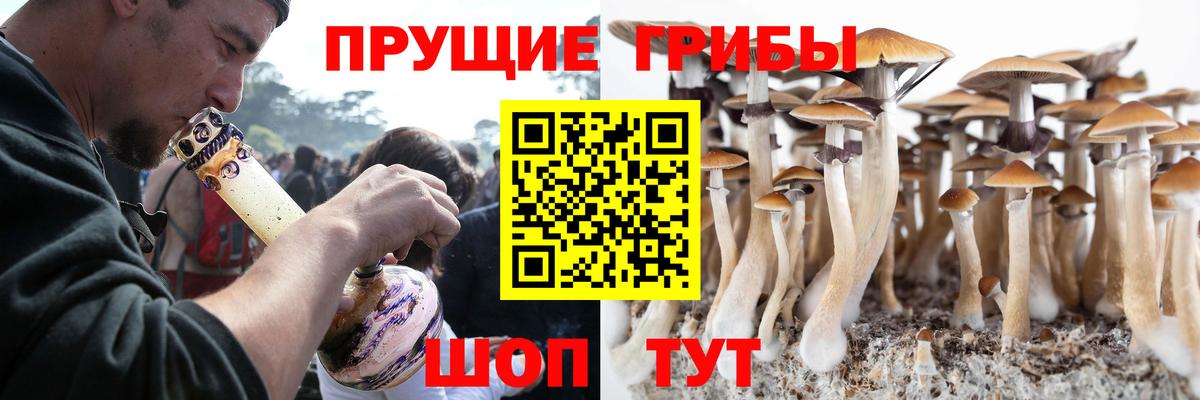 Галлюциногенные грибы ЛСД Черногорск